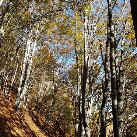 Feriehus Michele Con Terrazzo E Bellissima Vista X 4 Persone