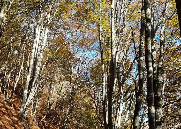 Σπίτι διακοπών Michele Con Terrazzo E Bellissima Vista X 4 Persone
